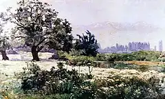 開花しているManzanillas(バラ科の植物)