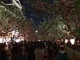 夜間の通り抜け