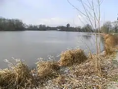 テヴィニエール池