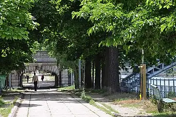 白鳥の小径 (Allée des Cygnes sur Île aux Cygnes dans le 15e arrondissement de Paris)