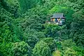 大悲閣千光寺