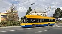 ズリーン（2020年撮影）