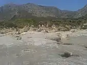 ヴィオスに残る太古の森林の化石