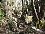 ケンタウロスのトレイルと呼ばれるピリオ山の自然遊歩道