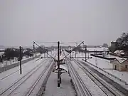 ホーム
