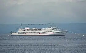 ウラジオストクで行われた観艦式での「イルティシュ」(2008年7月25日)