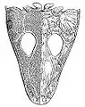 マストドンサウルスの頭蓋骨化石の図説(1892年)