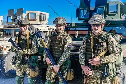 空中機動軍の隊員2