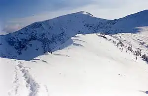 チェルスキー峰