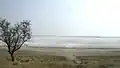 腐海の海岸の風景