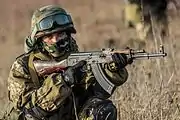 ウクライナ国家親衛隊