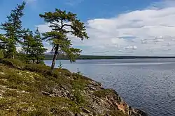 オジョギノ（Ожогино）湖