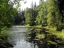 公園内の池