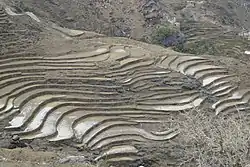 Al Jabin District
