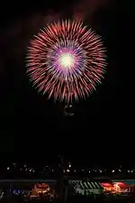大曲の花火の四重芯変化菊