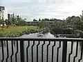 しながわ区民公園から見る首都高1号線