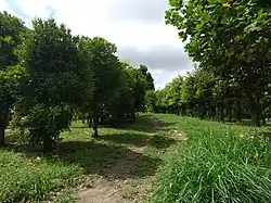 そうか公園