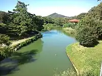 大沢池