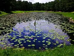 みそぎ池(御池)