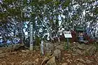 アポイ岳山頂