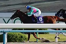 2018年優勝馬ケイティブレイブ