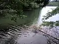湖底に沈む倒木が見えるほど澄んだ水