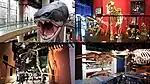 ダンクルオステウス、ゴリラ、T-REX、クジラ