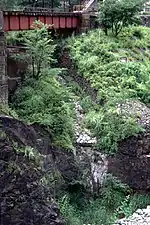 渡良瀬川縁付近まで下りてきたニホンカモシカ(写真中央)(旧・足尾線 間藤 - 足尾本山間、1997年7月22日)