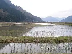 円山川下流域・周辺水田(ハチゴロウの戸島湿地)