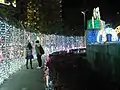 麓山の滝裏の光の回廊
