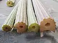 フキの葉柄の断面
