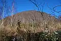 ブナ平から見た西岳（男岳）