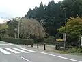 県道143号から