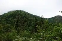 ワルサ峰付近から見た佐武流山
