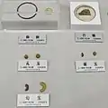 装身具三ツ城古墳ガイダンスコーナー展示。