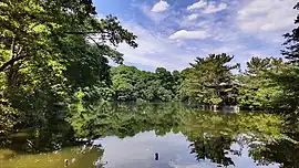 石神井公園 三宝寺池(2021年5月)