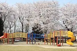 辰巳三山公園
