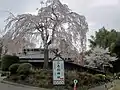 三春駒神社付近