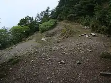 三条ダルミ