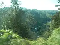 3. 県道の峠道（安芸高田市八千代町向山/上根）