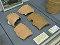 円筒埴輪片花園大学歴史博物館企画展示時に撮影。