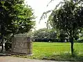 田植えが終わった水田（2009年6月中旬）