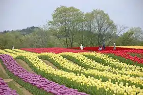 世羅高原農場