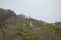 両崖山の急峻な斜面