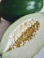 青パパイヤ果実