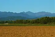 中札内村から