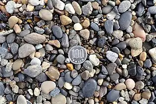 中礫（いずれも100円硬貨との比較）