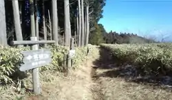 山頂