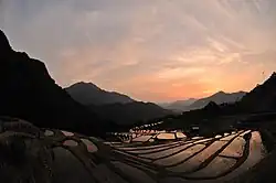丸山千枚田(熊野市)