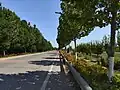 観光路